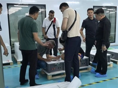Amigos internacionais visitam o armazenamento de energia Shandong Yaogan para...